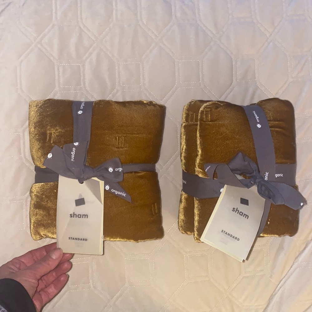 2 West Elm velvet standard shams